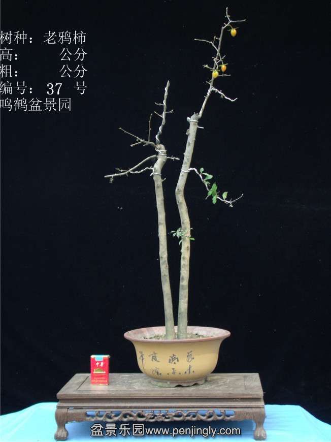 GEDC2949.JPG
