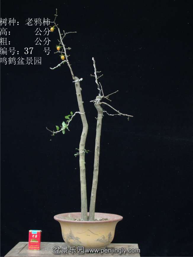 GEDC2951.JPG