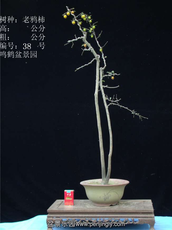 GEDC2955.JPG