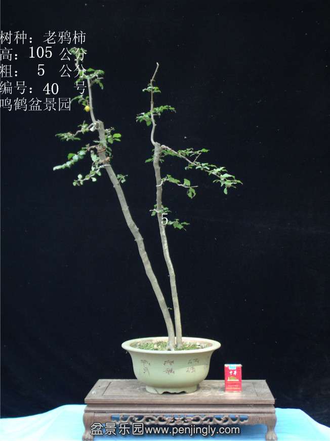 GEDC2968.JPG