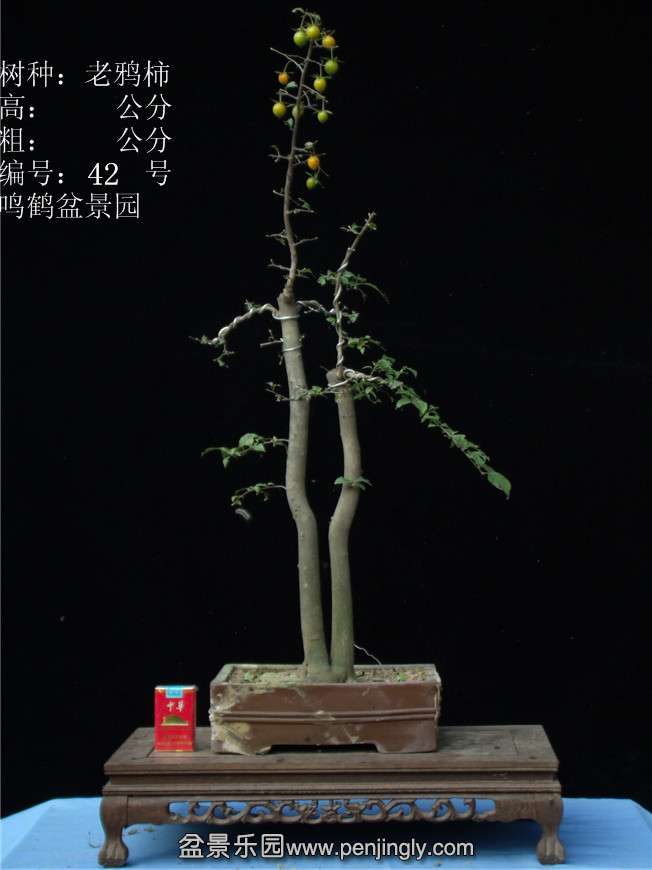 GEDC2983.JPG