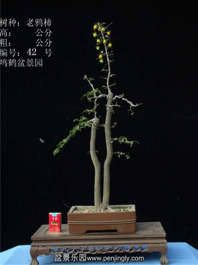 GEDC2985.JPG