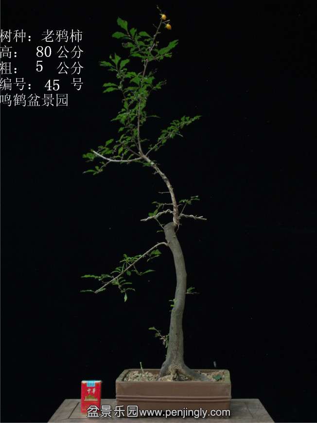 GEDC3017.JPG