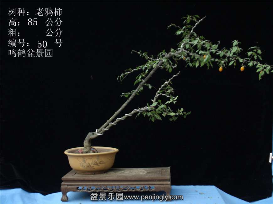 GEDC3048.JPG