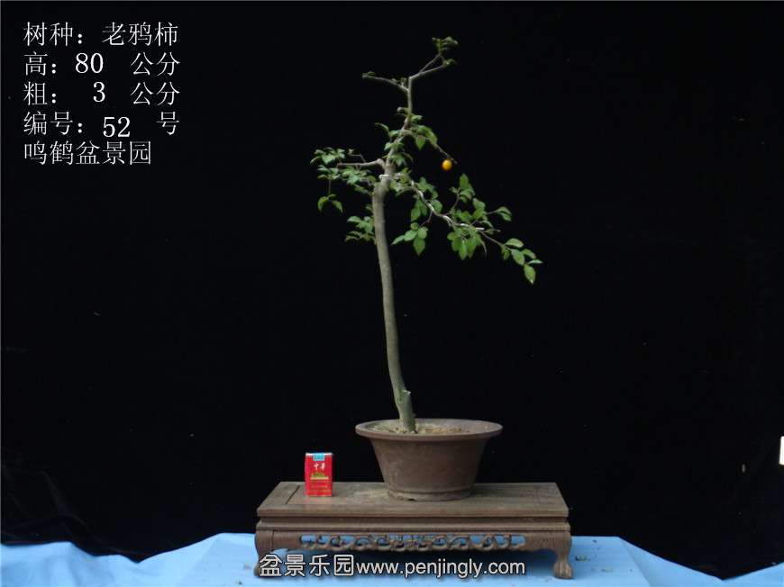 GEDC3054.JPG