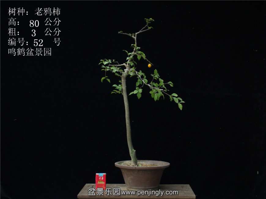 GEDC3055.JPG