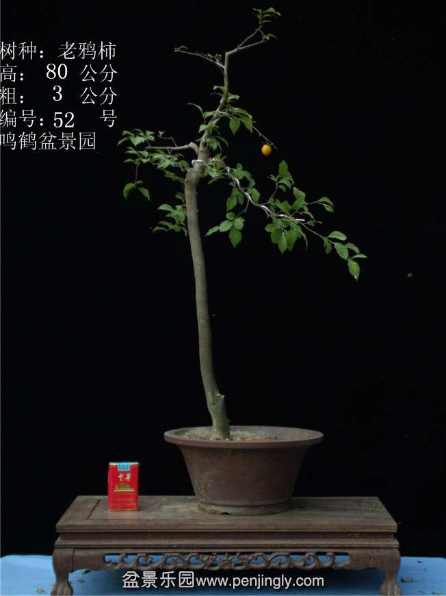 GEDC3057.JPG