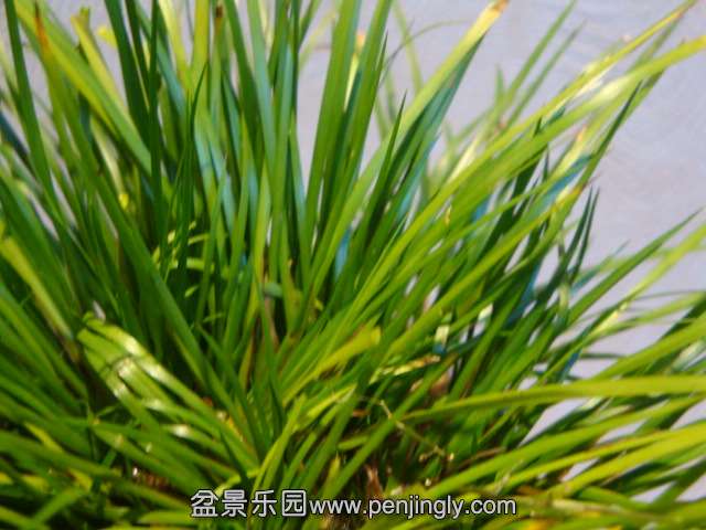 DSC01790.JPG