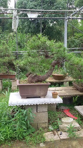 20150621_095256.jpg
