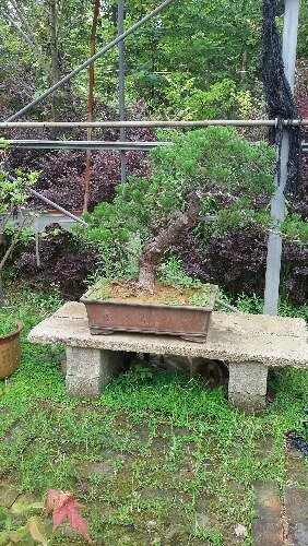 20150621_095422.jpg