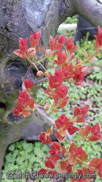 20150408_102855.jpg