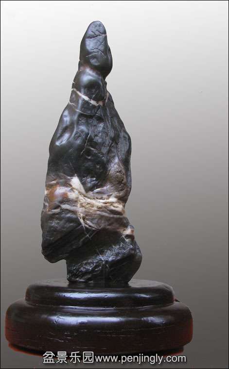 δ-1.jpg