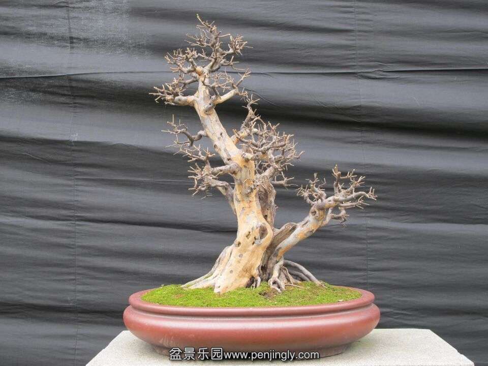 34.jpg