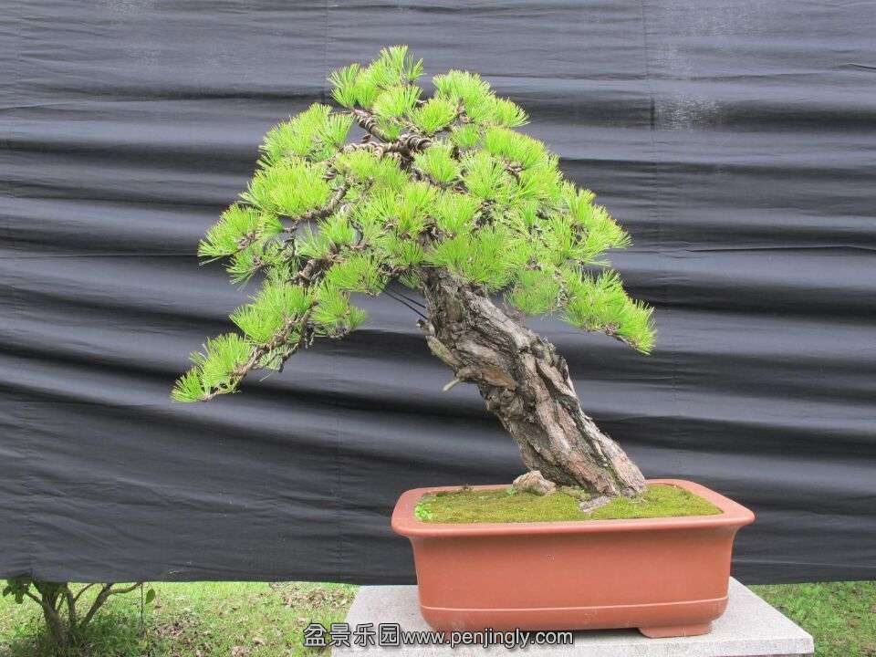 35.jpg