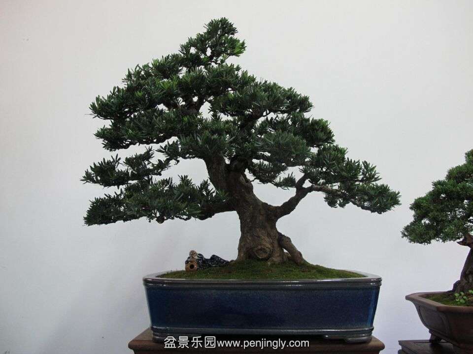 54.jpg