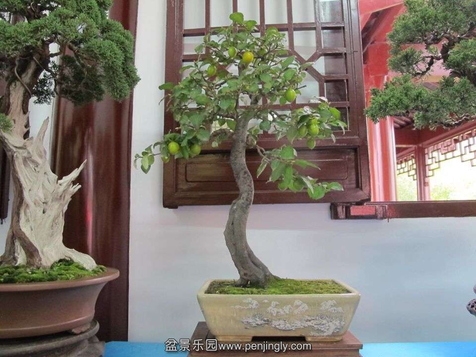 57.jpg