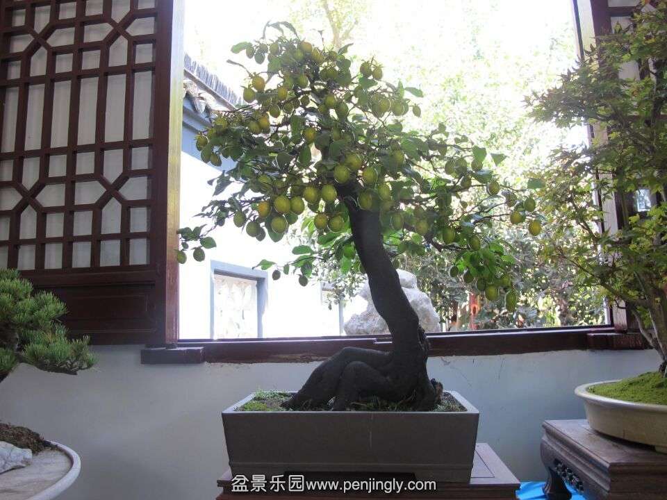 58.jpg