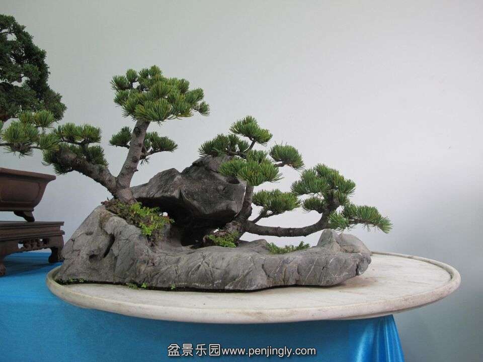 68.jpg