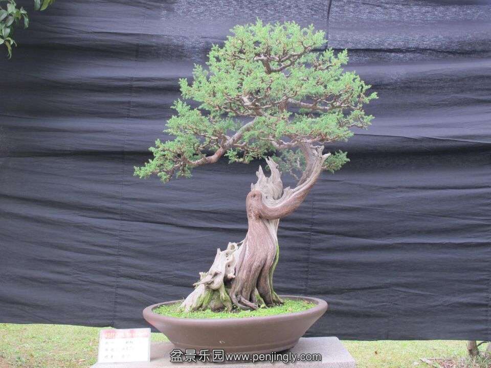 QQͼƬ20151007200901.jpg