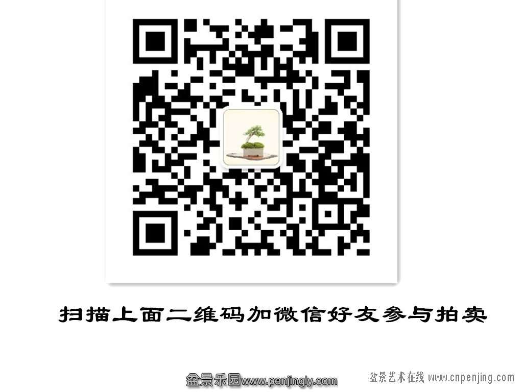 075528mgo8icvgavv6lrsl.jpg