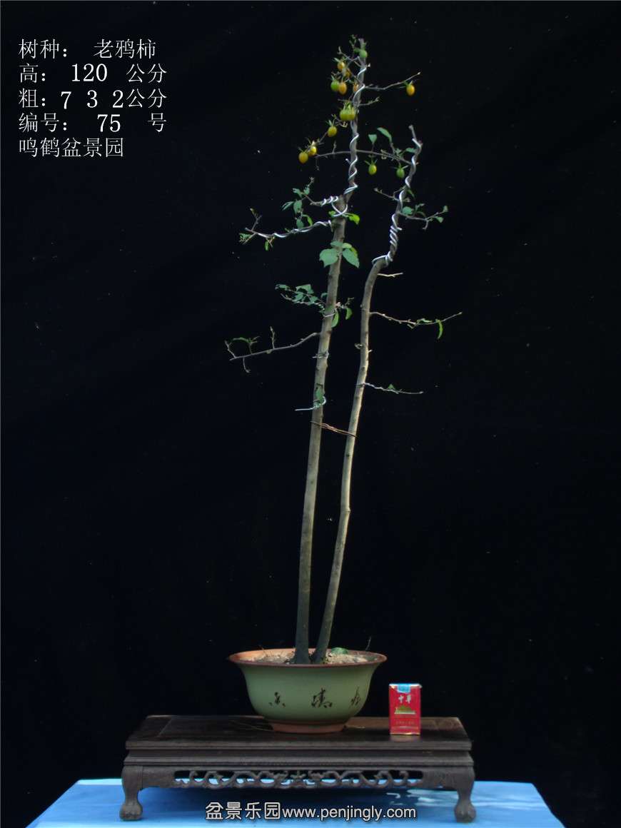 GEDC3087.jpg