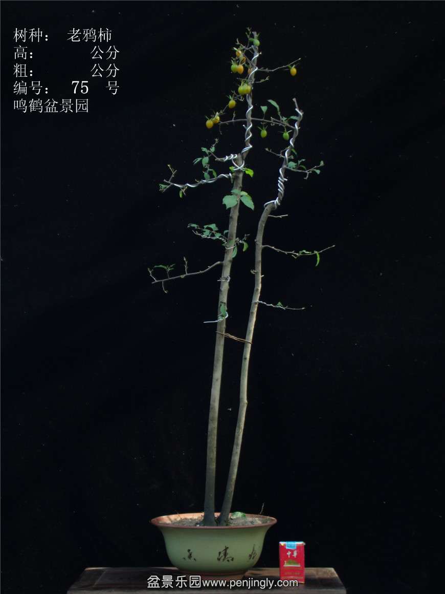 GEDC3090.jpg