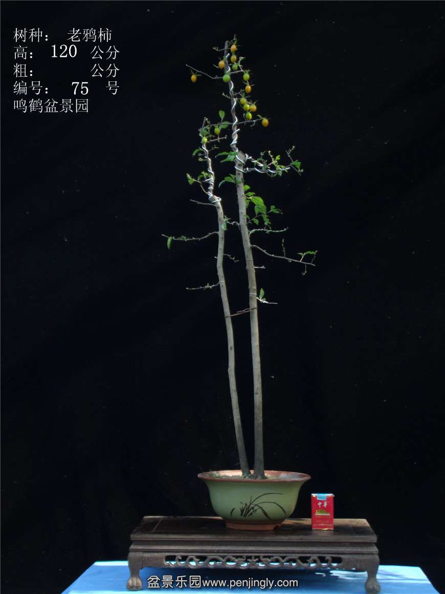 GEDC3093.jpg
