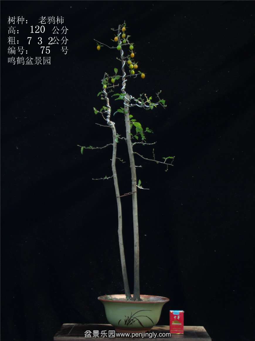 GEDC3094.jpg