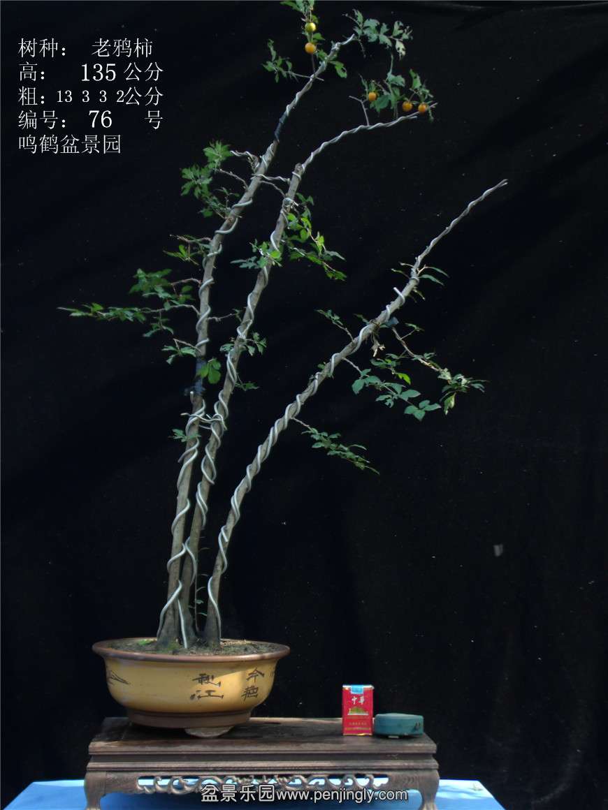 GEDC3097.jpg