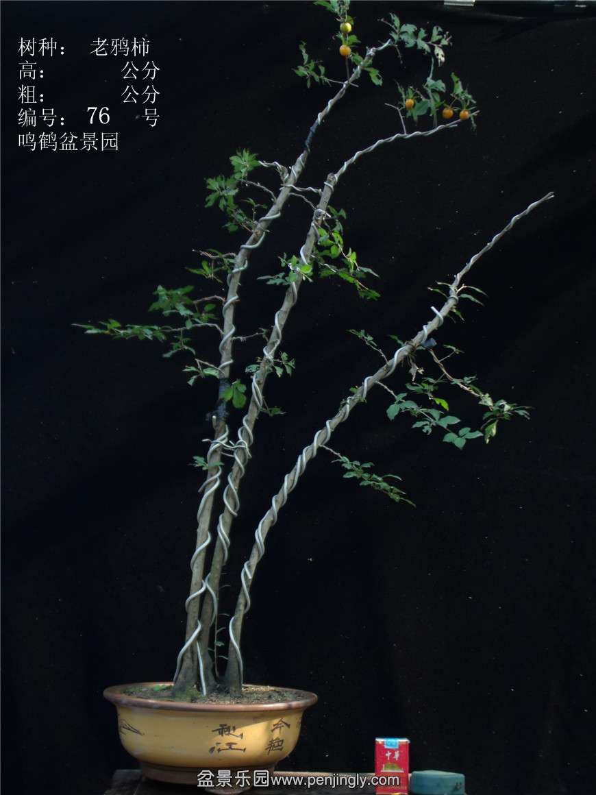 GEDC3098.jpg