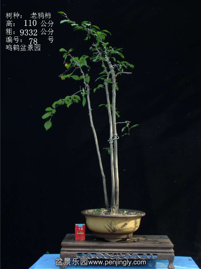 GEDC3108.JPG