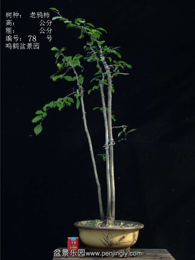 GEDC3109.JPG