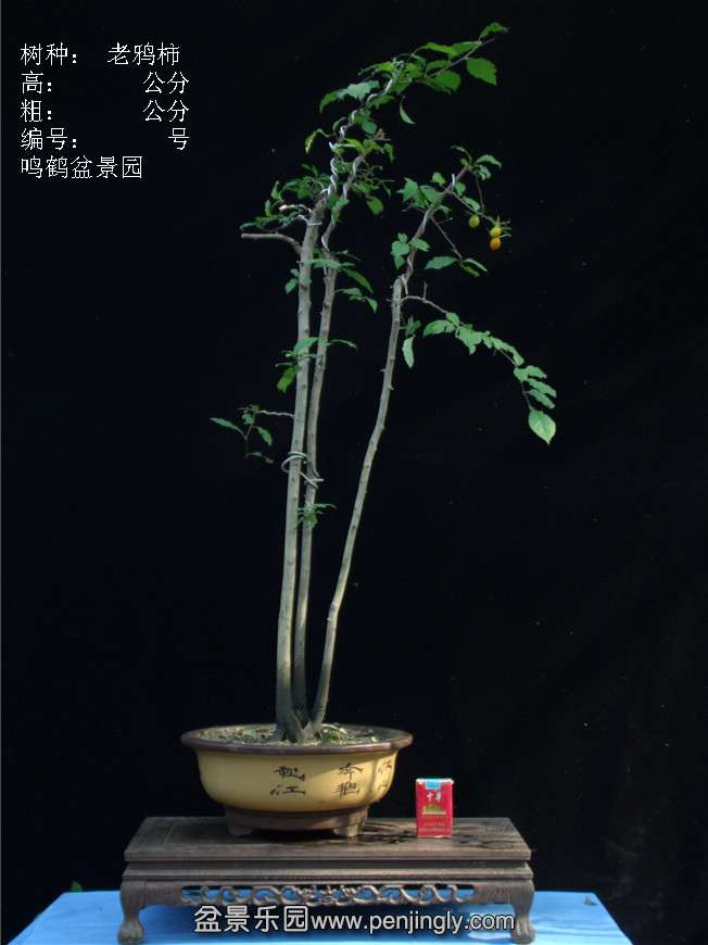 GEDC3112.JPG