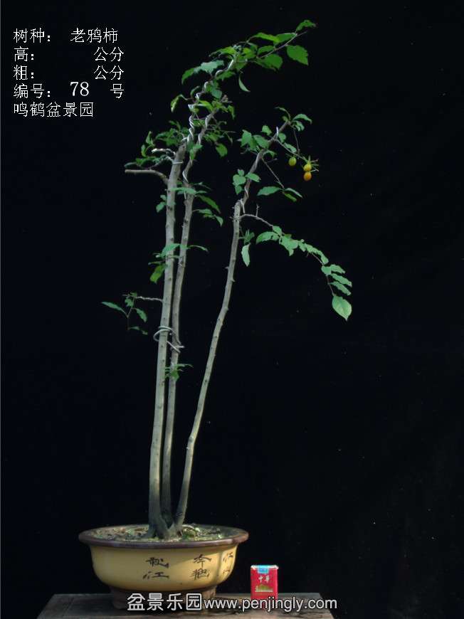 GEDC3113.JPG