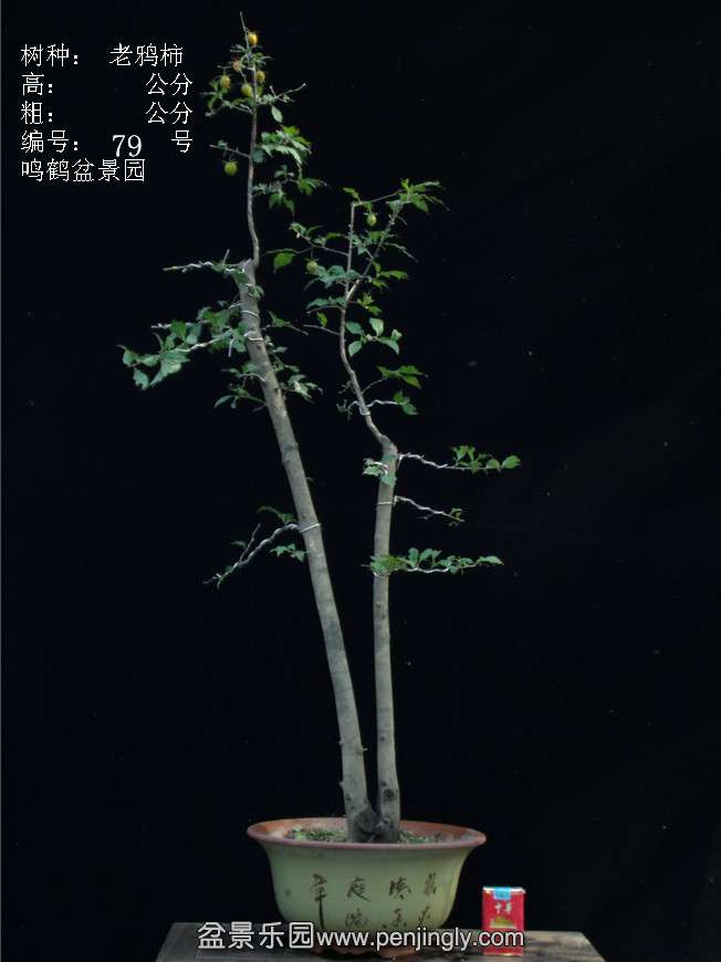 GEDC3116.JPG