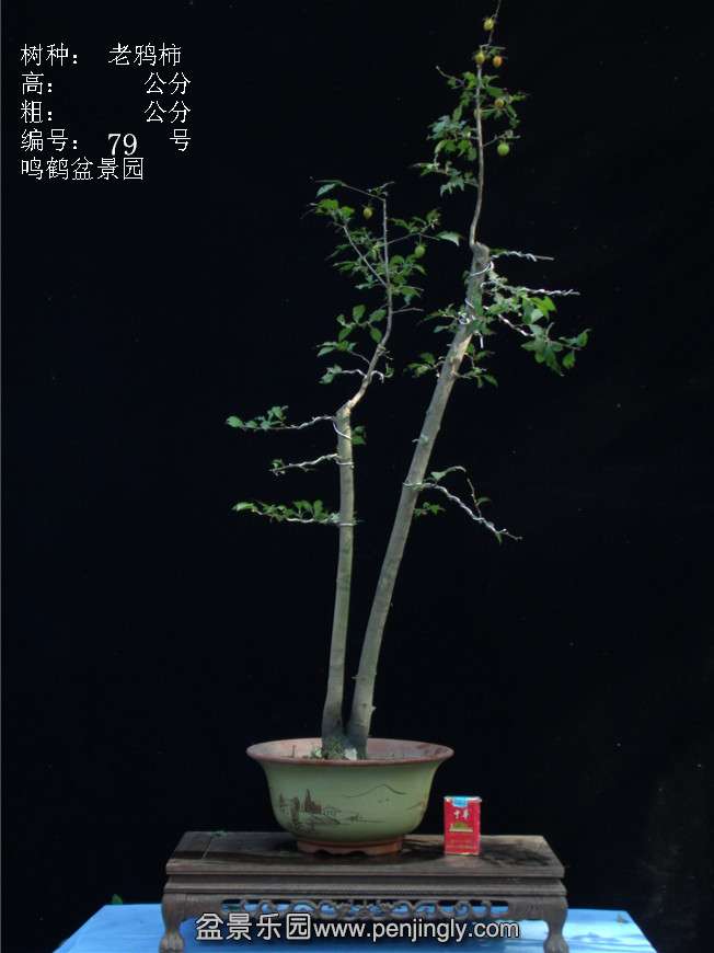 GEDC3119.JPG