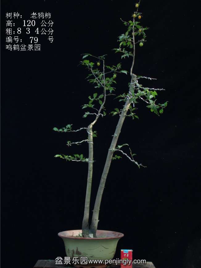 GEDC3120.JPG
