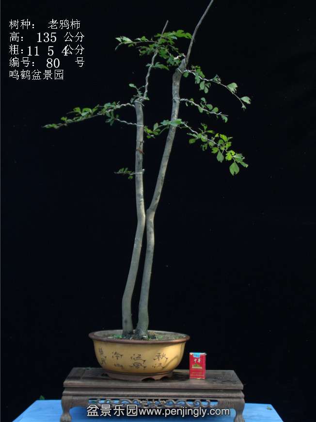 GEDC3121.JPG