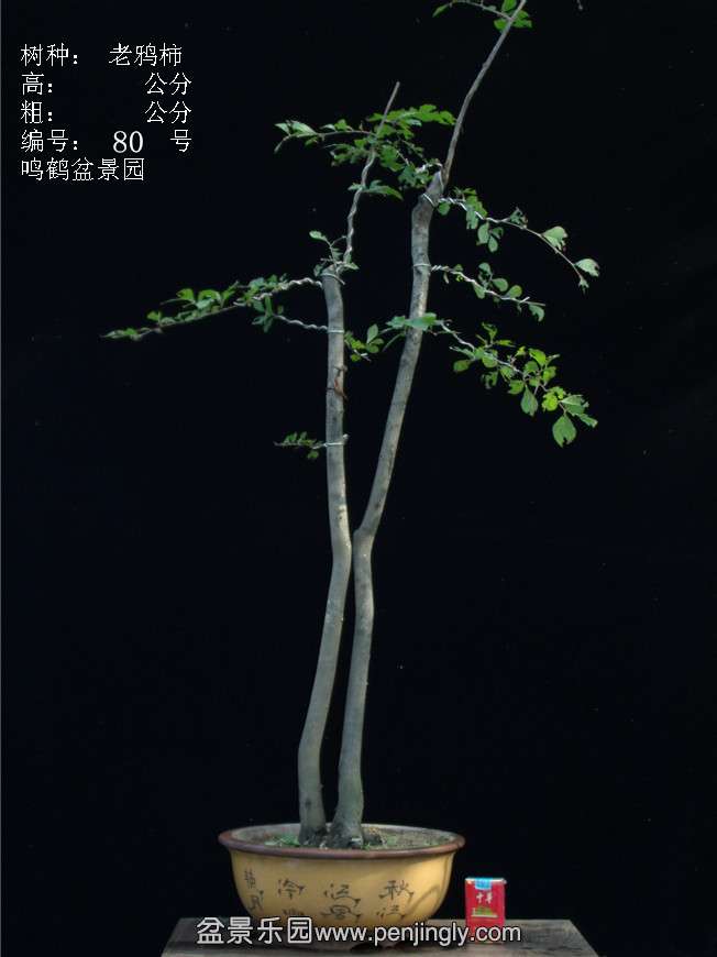 GEDC3122.JPG