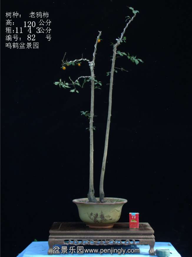 GEDC3134.JPG