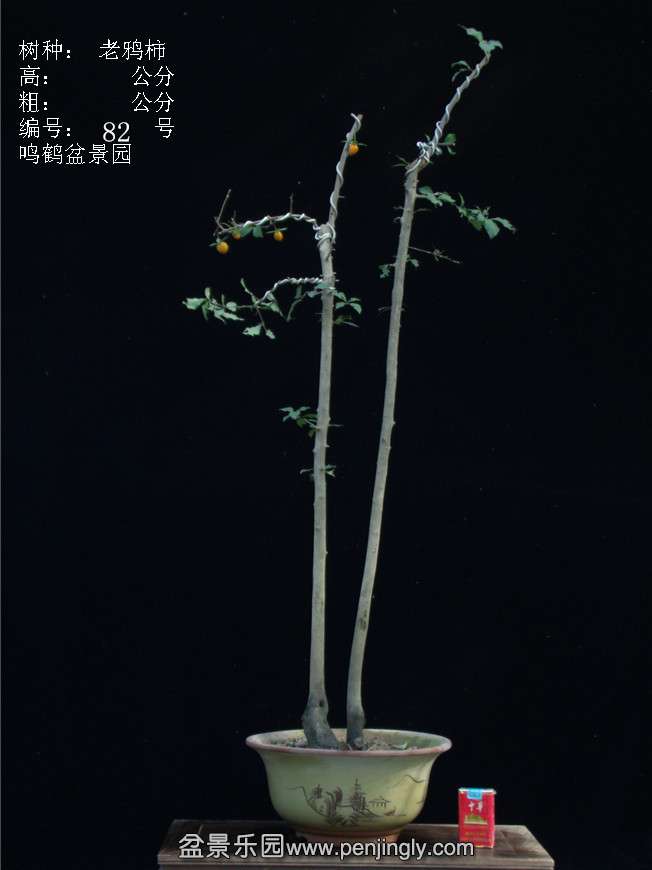 GEDC3135.JPG