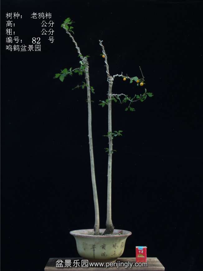 GEDC3139.JPG
