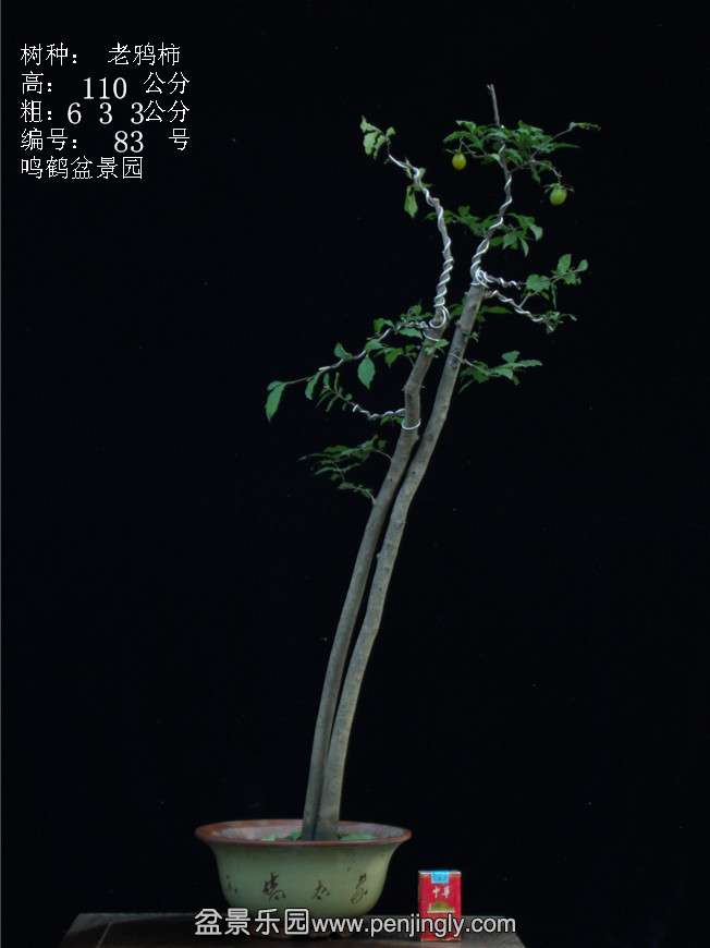 GEDC3141.JPG