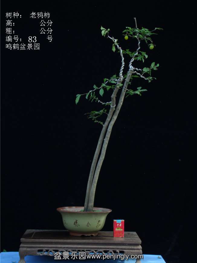 GEDC3142.JPG