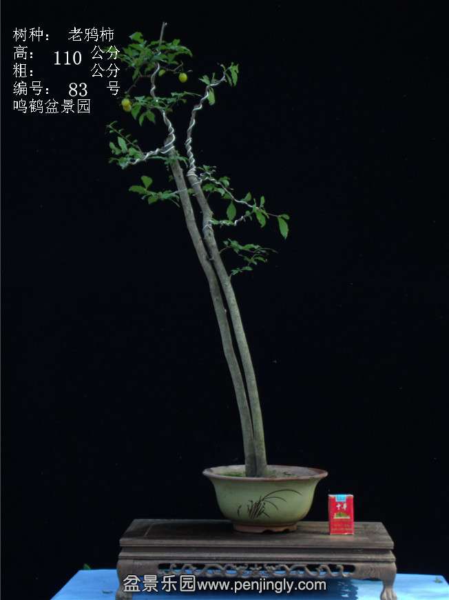 GEDC3146.JPG