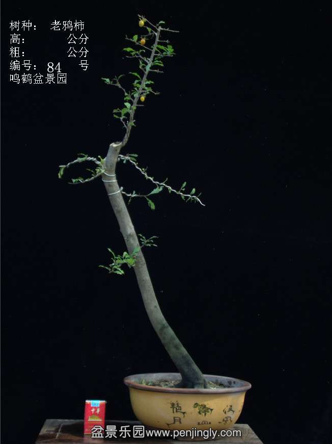 GEDC3149.JPG