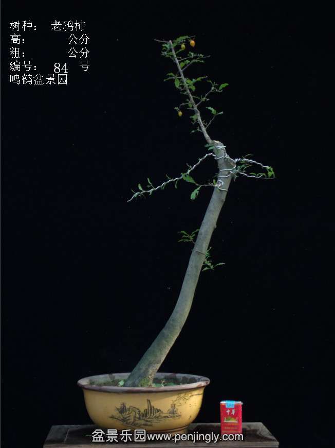 GEDC3153.JPG