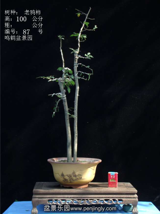 GEDC3171.JPG