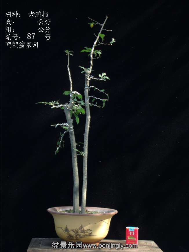 GEDC3172.JPG