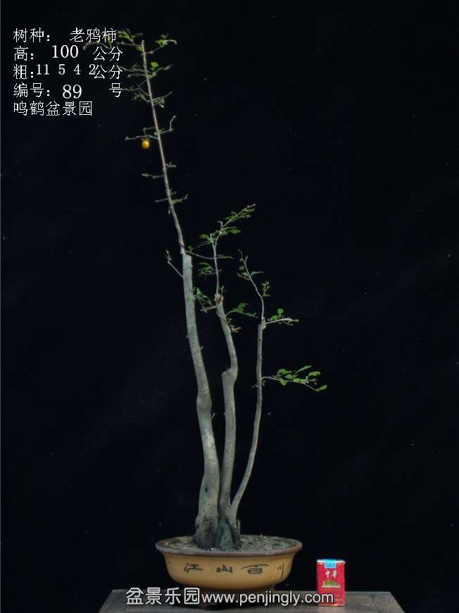 GEDC3183.JPG